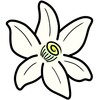 都道府县大战无敌版