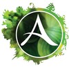 三分彩计划app